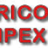 Cricos Prod Impex - Distributie si service centrale termice Ferroli